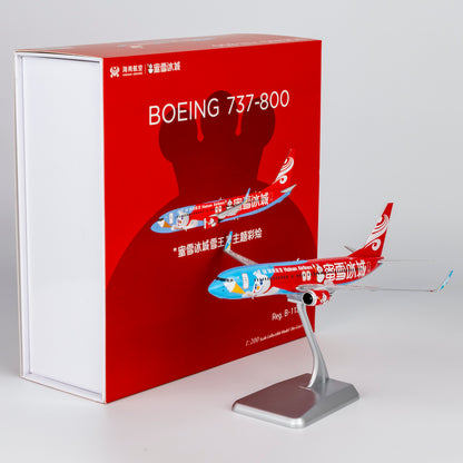 1/200 Hainan Airlines Boeing 737-800 B-1131 NG08080 - cover