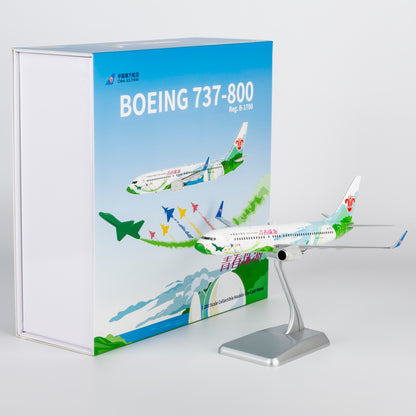 1/200 China Southern Airlines Boeing 737-800 B-1700 NG24039 - cover