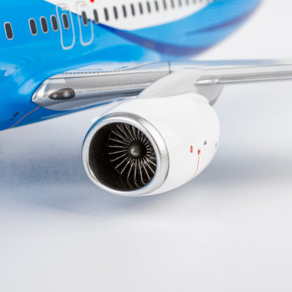 1/200 Xiamen Air Boeing 737-800 B-5656 NG64183