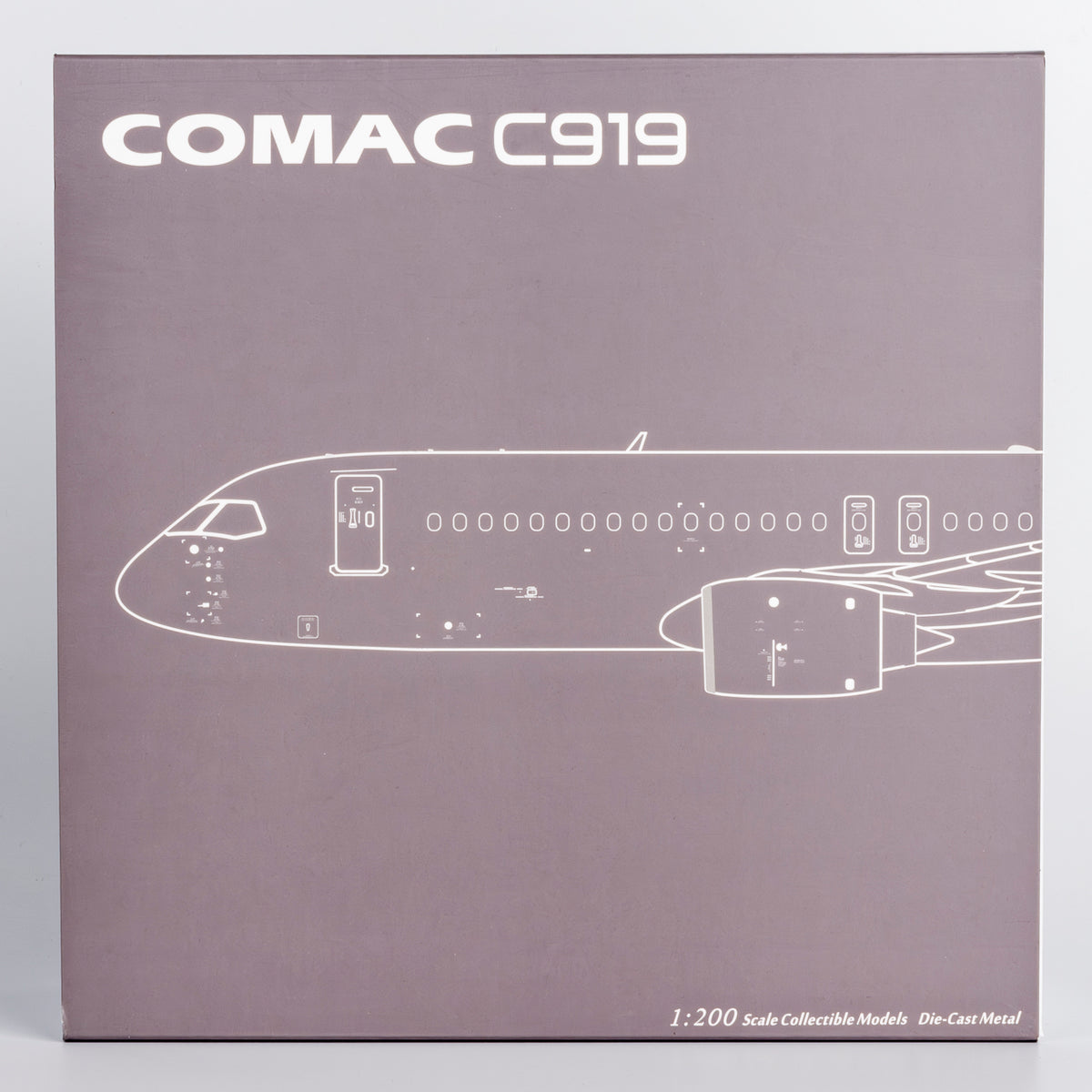 1/200 Blank Model C919 NG99000