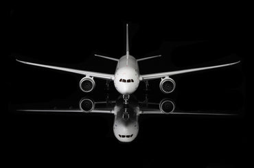 Boeing 787-10 Dreamliner Boeing House Color N829OV