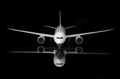 Boeing 787-10 Dreamliner Boeing House Color N829OV