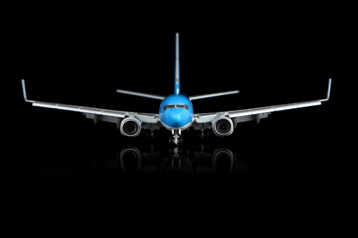 KOREAN Air "New Colors"B737-900 HL8248 B470401