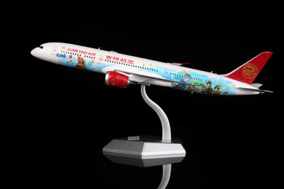 Juneyao Air B787-9 B-209R product image