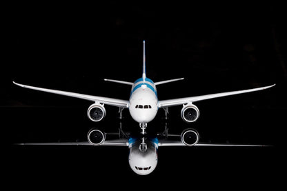 China Southern Airlines B787-9 B-1242 "Dreamliner"