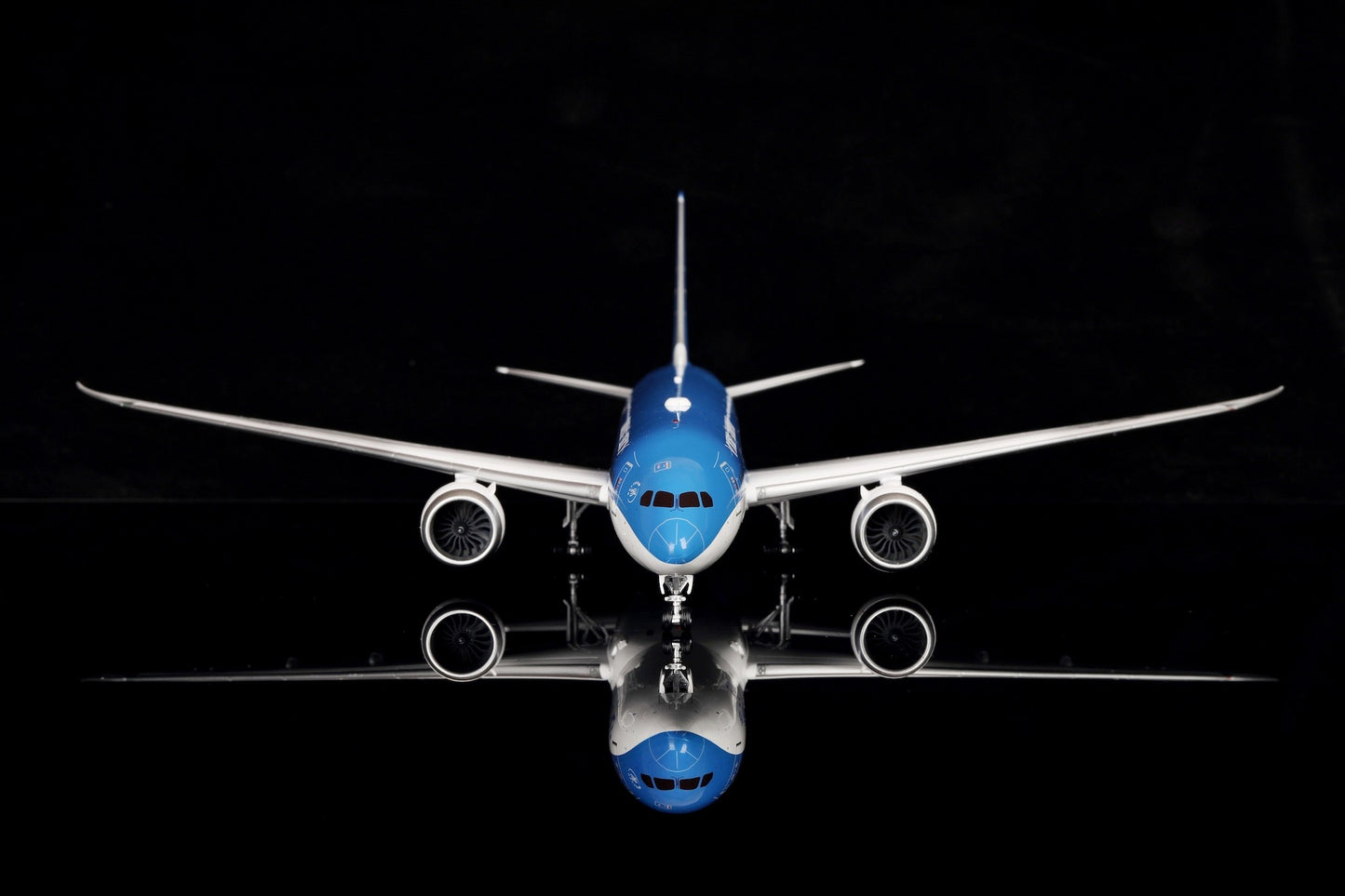Xiamen Airlines B787-9 B-1356 "United Nations GOAL Livery"