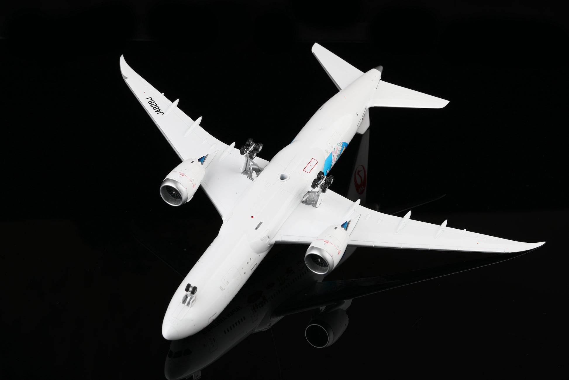Japan Airlines B787-8 JA828J "Studio Ghibli"