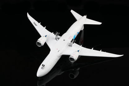 Japan Airlines B787-8 JA828J "Studio Ghibli"