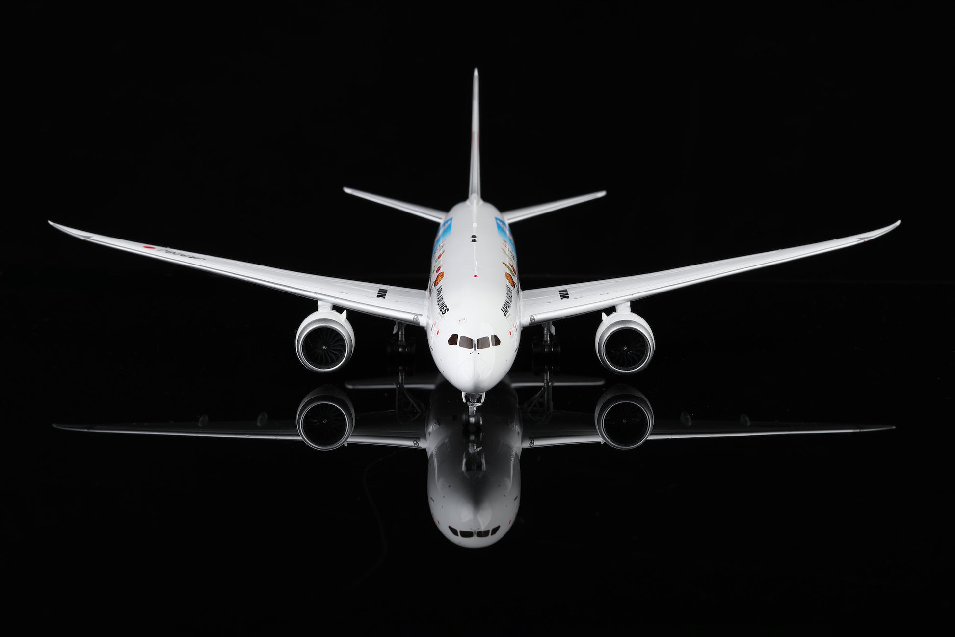 Japan Airlines B787-8 JA828J "Studio Ghibli"