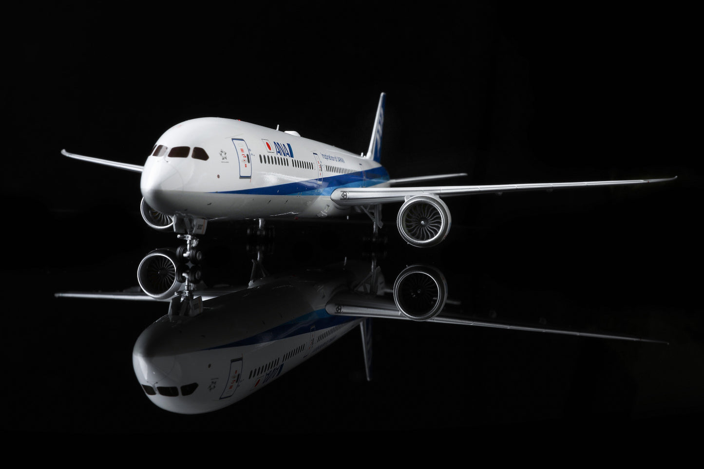 All Nippon Airways B787-10 JA900A product image