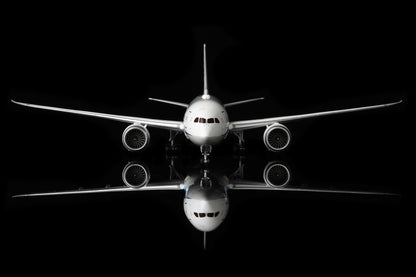 All Nippon Airways B787-10 JA900A product image