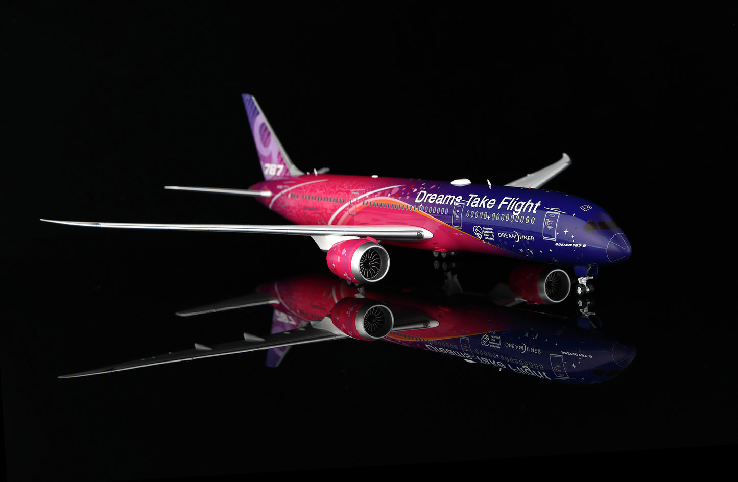 Boeing 787-9 Dreamliner Boeing Company "Dreams Take Flight" N1015B 4