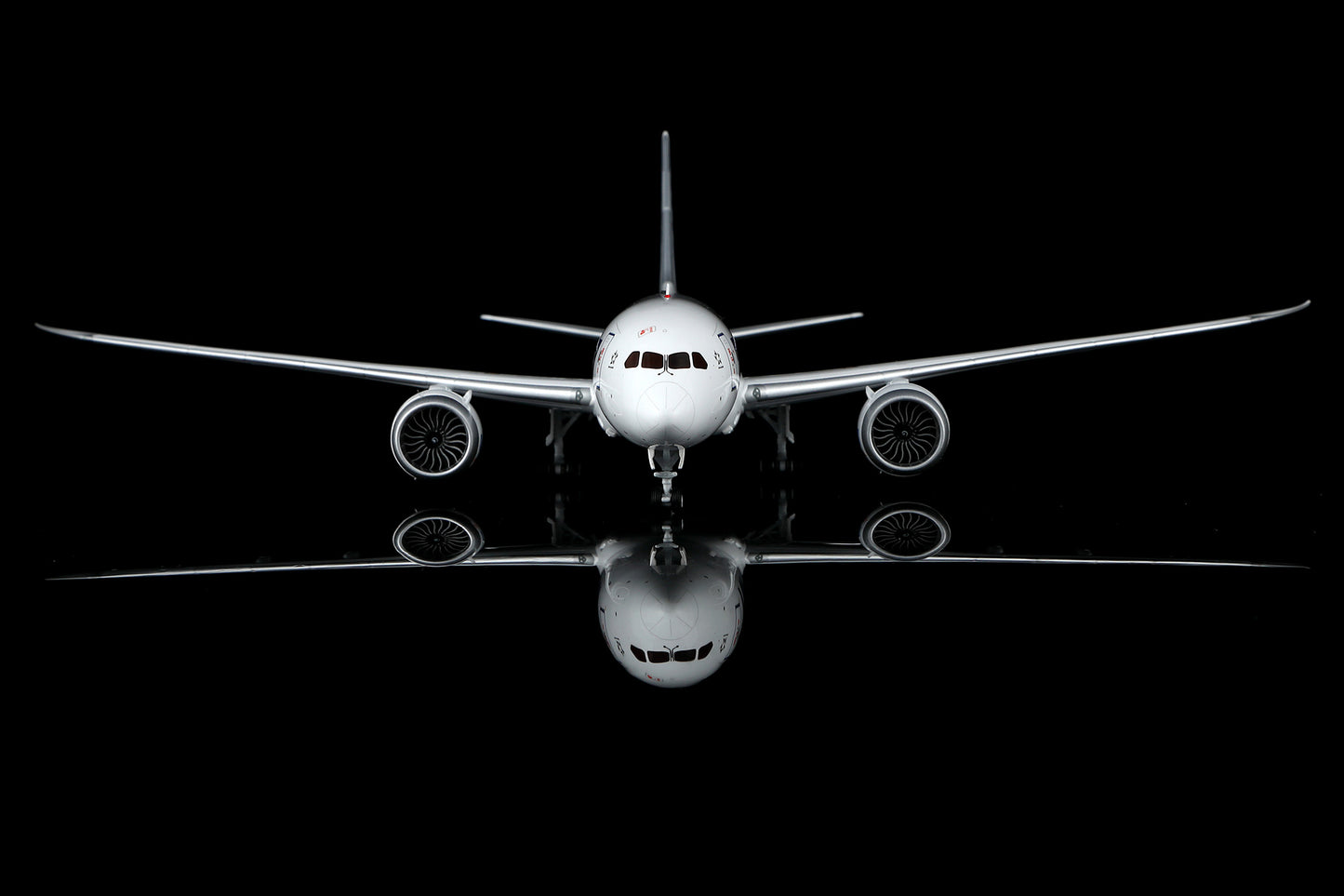 All Nippon Airways B787-8 Dreamliner JA801A – image 6