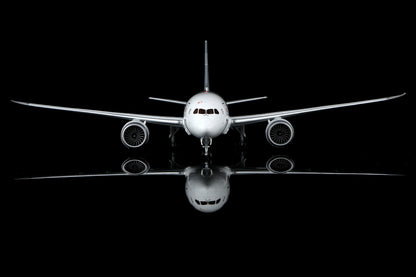 All Nippon Airways B787-8 Dreamliner JA801A – image 6