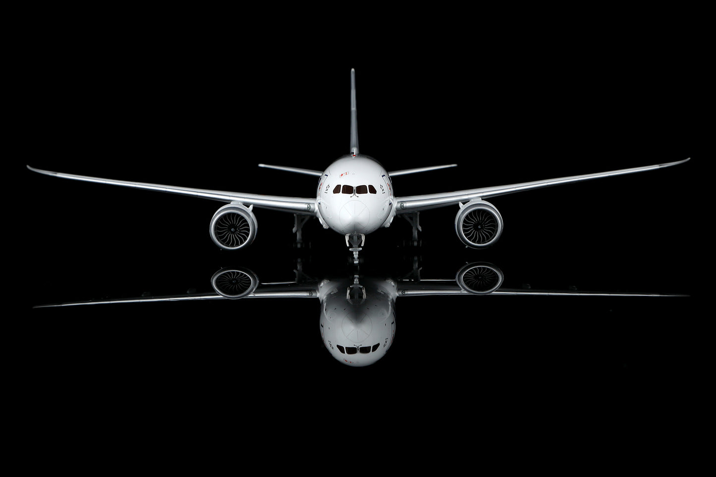 All Nippon Airways B787-8 Dreamliner JA802A – image 2