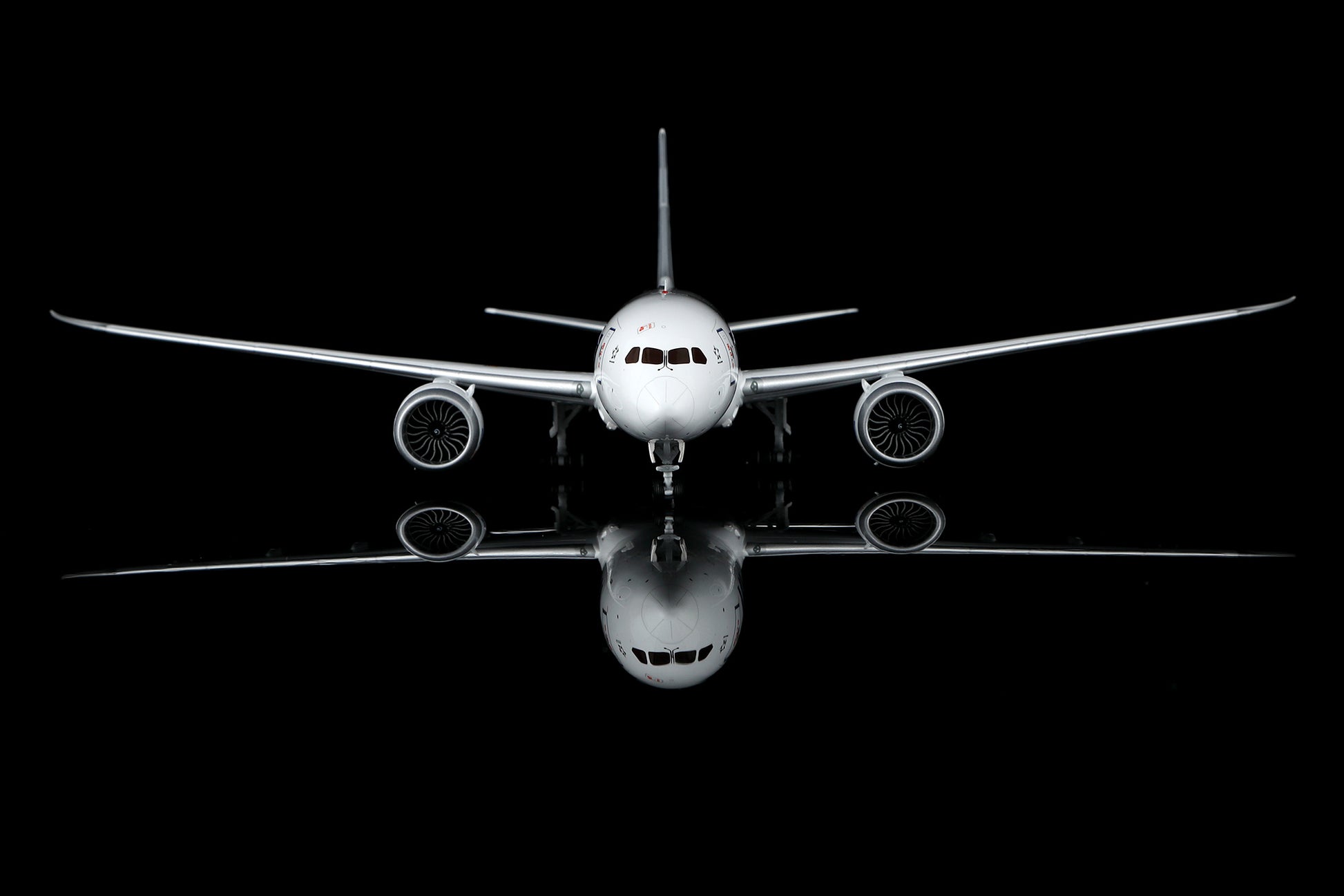 All Nippon Airways B787-8 Dreamliner JA802A – image 2