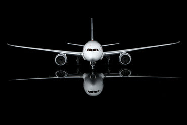 All Nippon Airways B787-8 Dreamliner JA802A – image 2