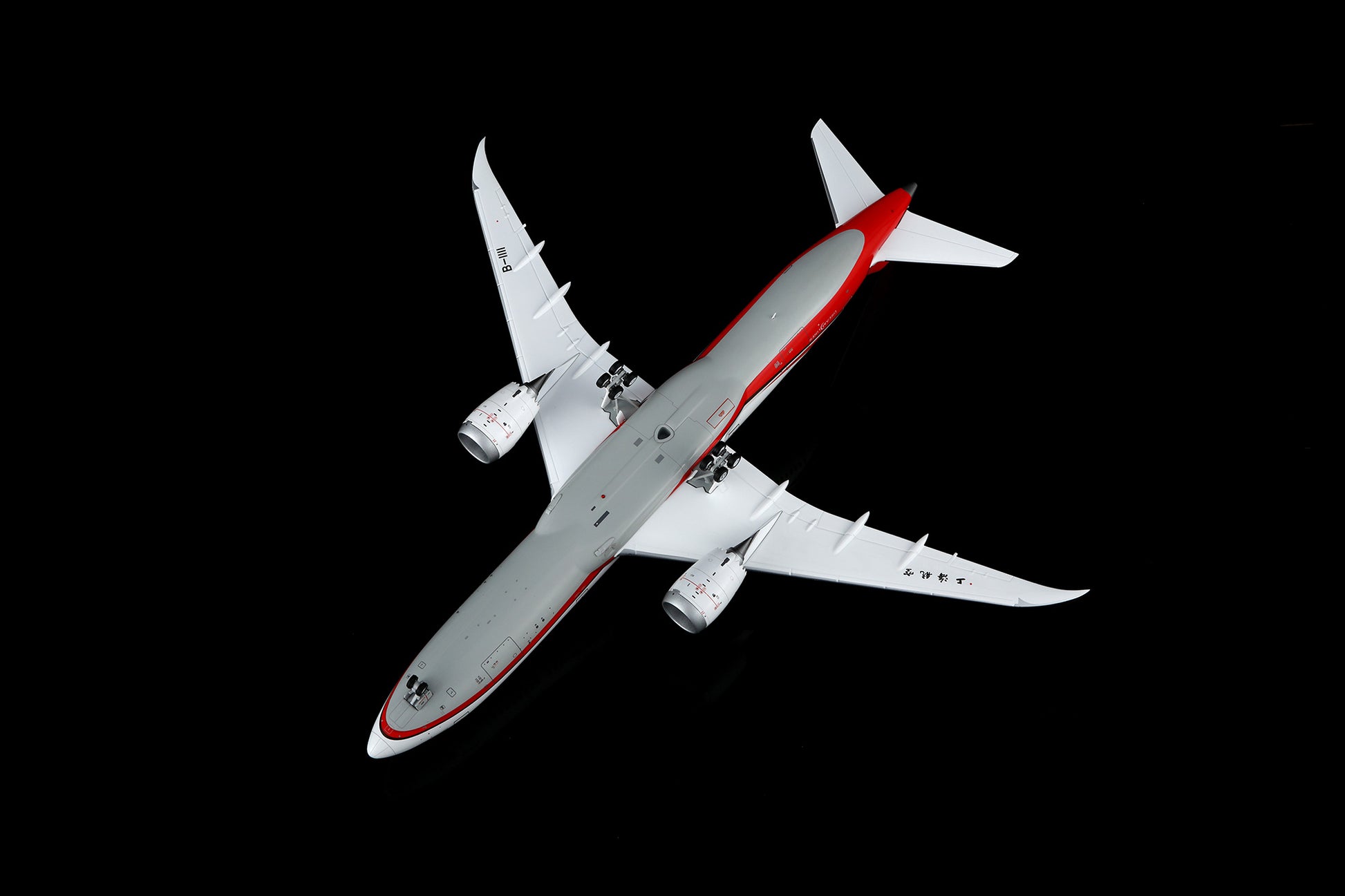 Shanghai Airlines B787-9 Dreamliner "100th Shanghai Airlines" B-1111 – image 9