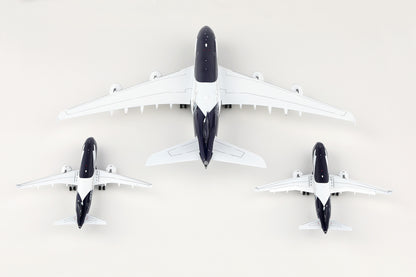 Lufthansa A380 "100th Anniversary" D-AIMH