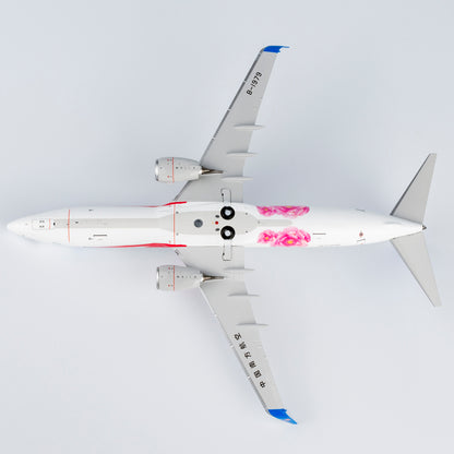 1/200 China Southern Airlines Boeing 737-800 B-1979 "Hometown Henan" NG24049